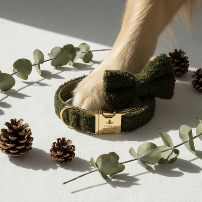 The Bouclé Bow Collar Set | Evergreen