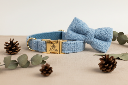 Light blue dog collar with a bow tie and gold clasp on a neutral background with decorative elements.