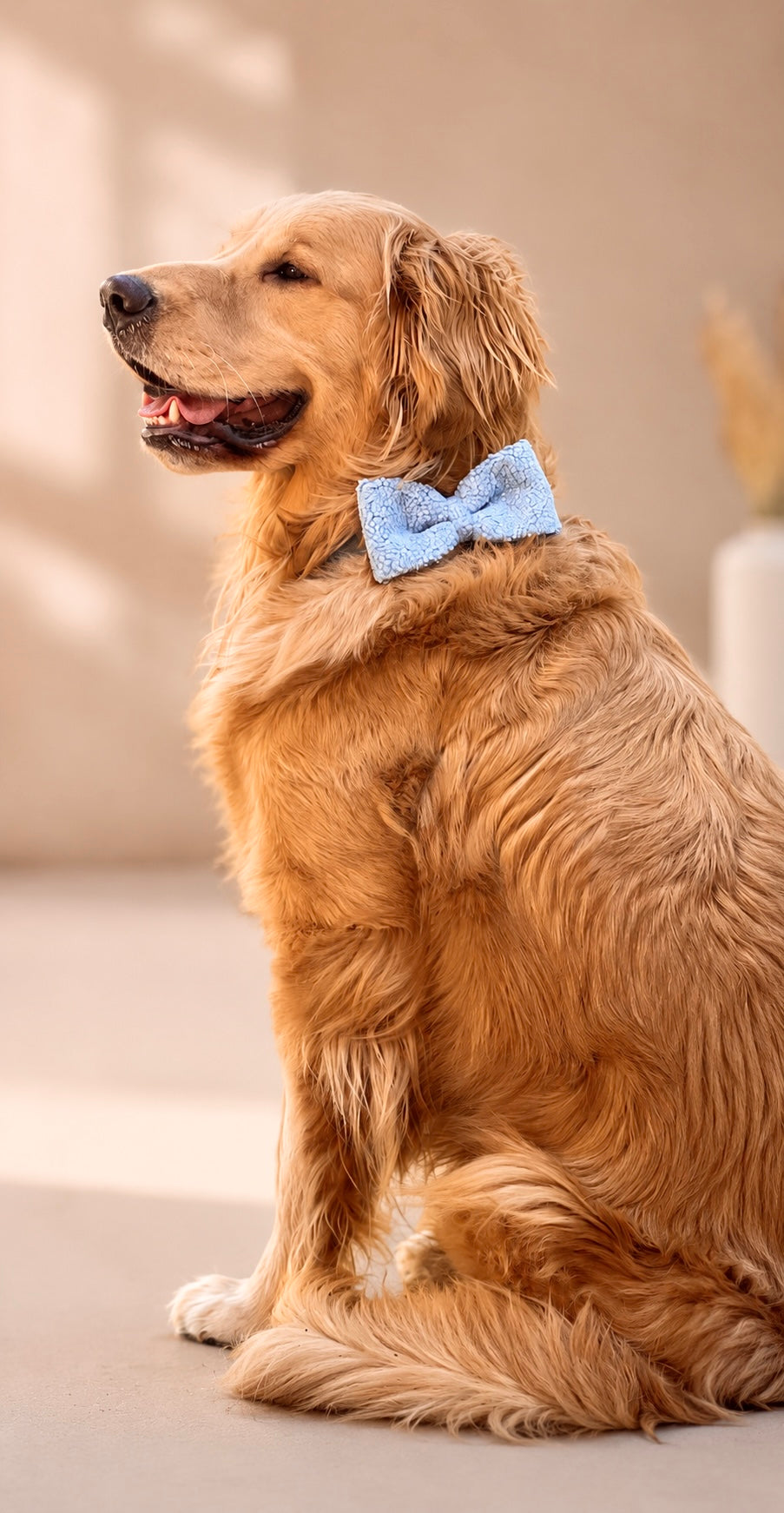 The Bouclé Bow Collar Set | Dusty Blue