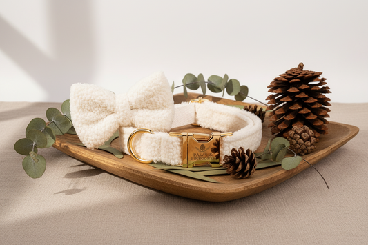 White fluffy dog collar with gold buckle on a wooden stand, pine cone on beige background