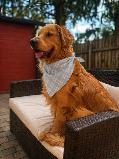 Bluebell Bridle Bandana